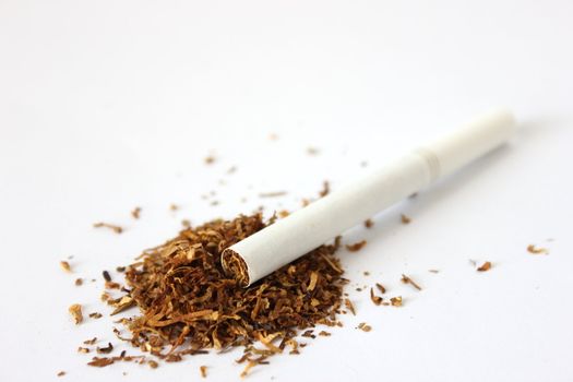 Isolated cigarette laying on pile of tobacco