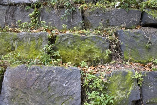 Stone wall, green grass, yellow sheet.