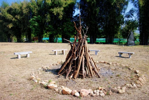 Wood for bonfire, Camping concept