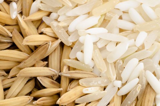 close up of Thai rice seed and mix grain