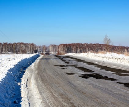 Winter Landscape of Forest and road