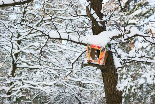 bird feeders carved from a cardboard box