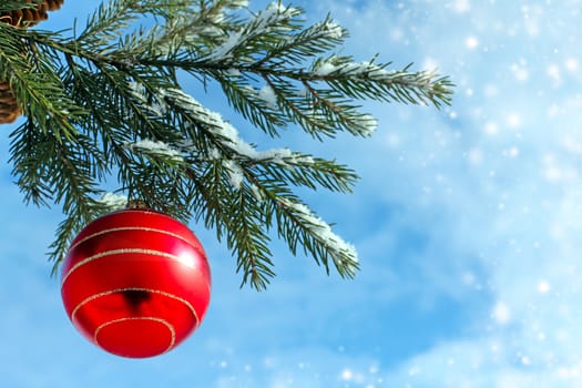 Christmas decoration red glass ball on fir branches