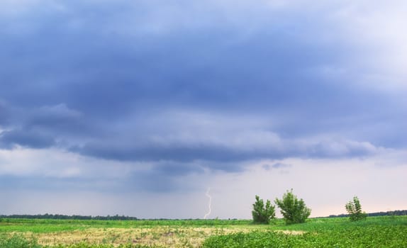 The rain and thunderstorm in the field 