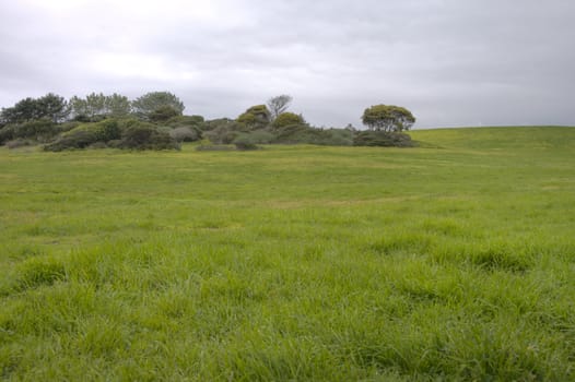 HDR image grassy meadow with trees and dramatic clouds