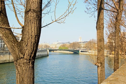 île de la citée, along the Seine (Paris France)