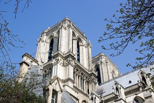 Notre Dame of Paris (Paris France)