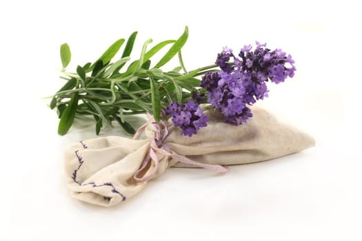 fresh lavender flowers and lavender bag on a white background