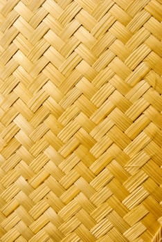 bamboo background