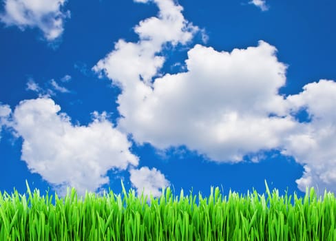 Cloudy sky and green grass background