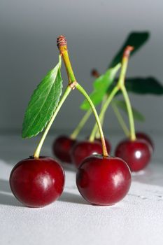 fresh juicy cherries with green leaves