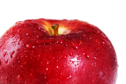 Beautiful studio shot of a fresh and wet red apple looking delicious, with water droplets driping off it over white, perfect nutrition or diet background.