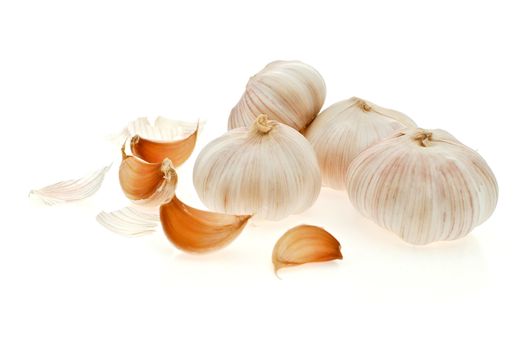 garlic