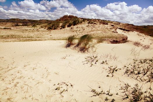 Dutch sand dunes under nice blue sky with clouds