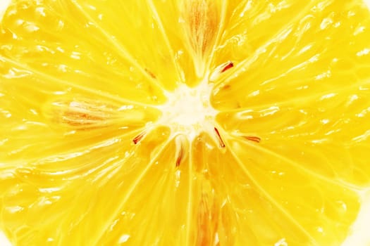 Slice of orange, close up