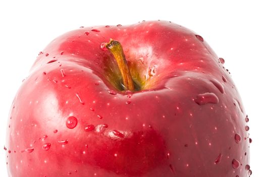 Fresh red apple close up