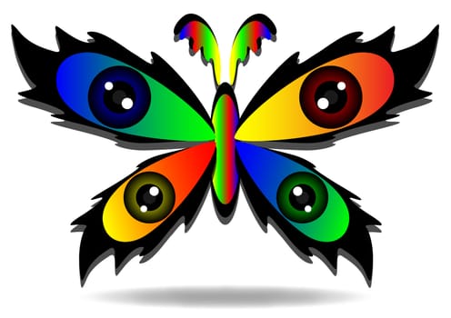 butterfly multicolored beauty on white background