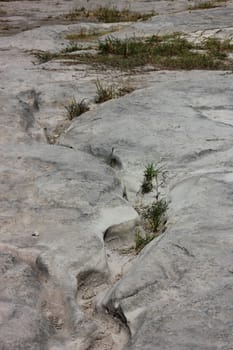 Dried up creek bed showing carved Earth.