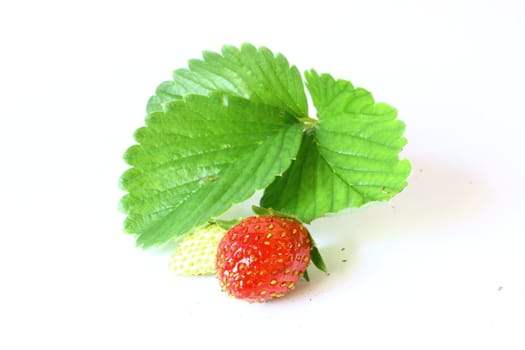 Strawberry fruit along with strawberry plant leaves.