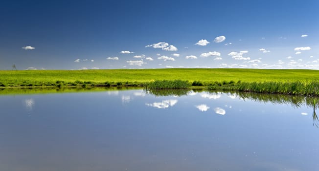 Blue sky and water with green field of grass in the middle like a border