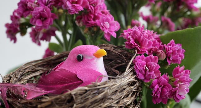 Pink bird in a nest on a flowering tree