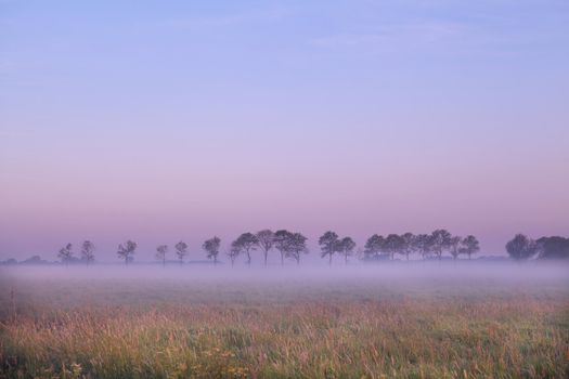 pasture in Groningen covered with fog in early morning