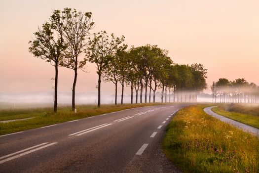 road in Groningen in the early morning covered with fog