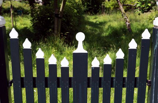 old wooden gate painted in green