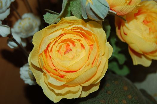 yellow rose for decoration