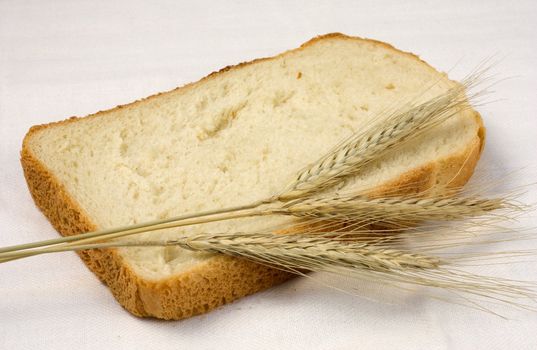 The Piece of bread, ear of the wheat on white background.