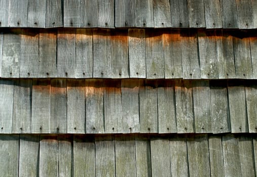A Old cedar shake wall background