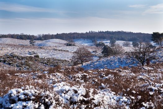 hills covered with snow in Rheden close to Arnhem in Netherlands
