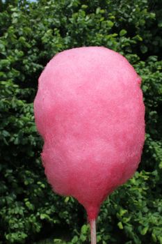 pink candy floss