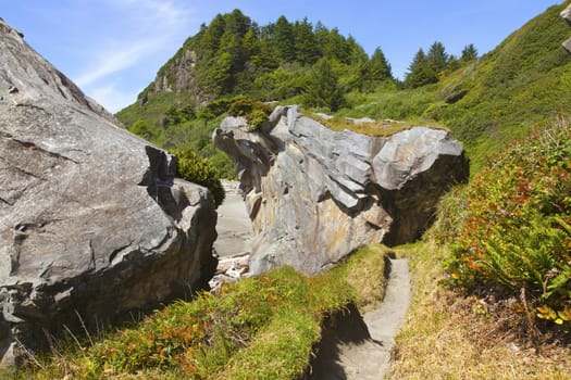 Large rocks vegetation and sand trails on the Oregon coast.