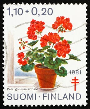 FINLAND - CIRCA 1981: a stamp printed in the Finland shows Geranium, Pelargonium Zonale, Flower, circa 1981