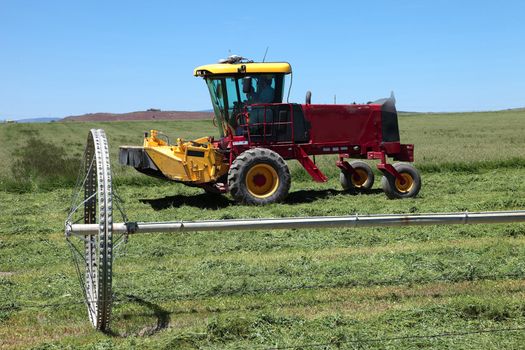 Harvesting alfalfa in a field in Southern Oregon.