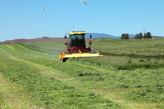 Harvesting alfalfa in a field in Southern Oregon.