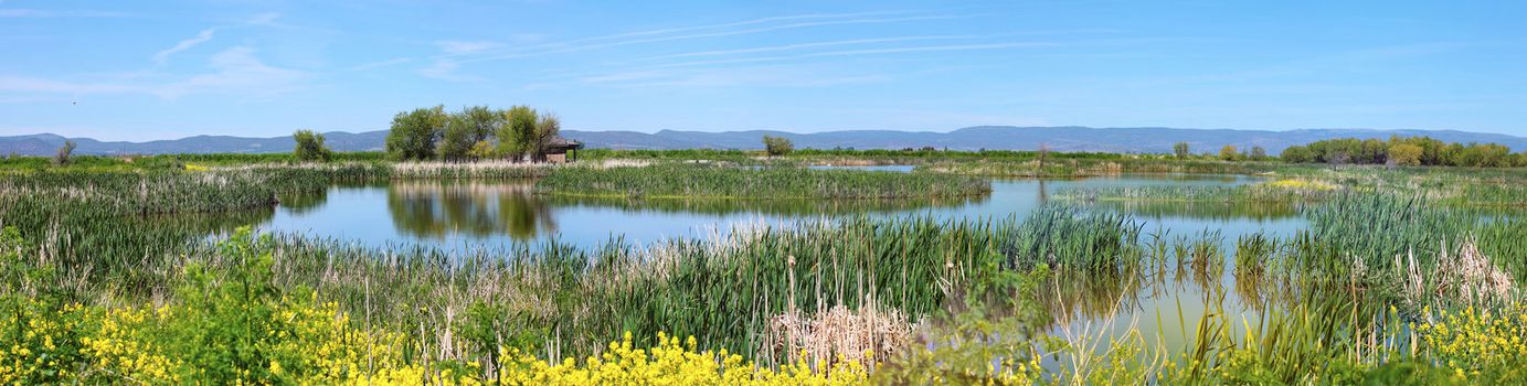 National wildlife refuge &amp; marshes, Klamath Falls Oregon, a panoramic view.