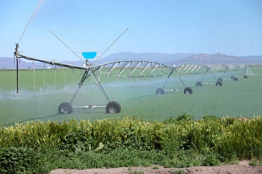 Organic Agriculture & farmlands, south Oregon.