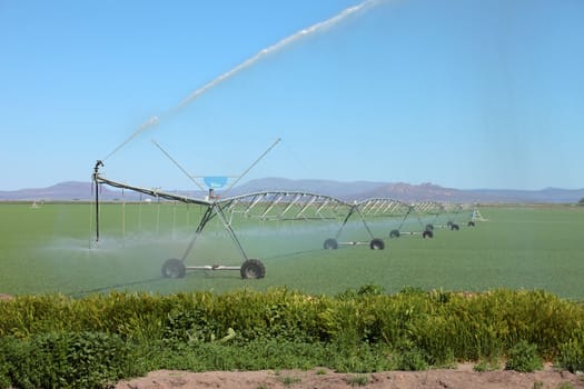 Organic Agriculture & farmlands, south Oregon.