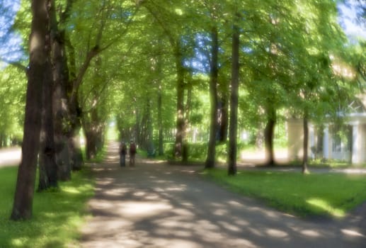 Spring alley in the park with shining of sunlight through monocle lens