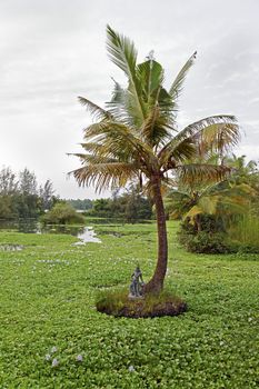 Landscape of a lake with a small islet surrounded by hyacinth and housing a locally handcrafted by indigenous craftsman a figurine of a hindu idol, suspect it is Varun