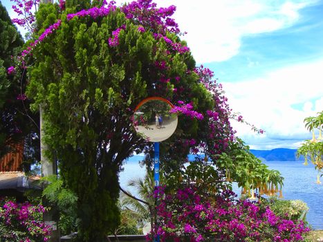 Lake Toba (Indonesian: Danau Toba) is a lake and supervolcano. The lake is 100 kilometres long and 30 kilometres wide, and 505 metres (1,666 ft) at its deepest point.                                     