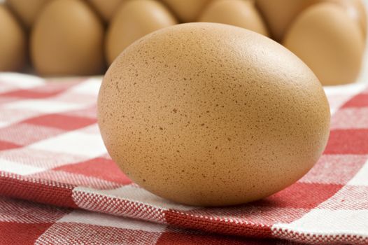 Fresh healthy organic egg
