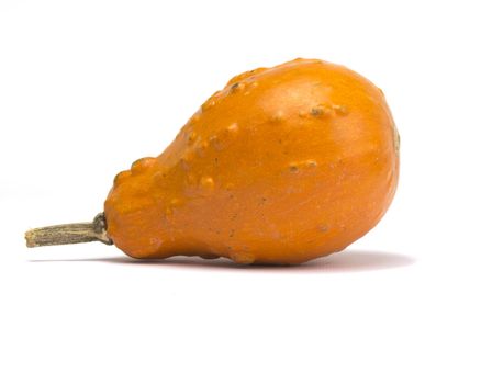 Orange gourd isolated on white background with light shadow