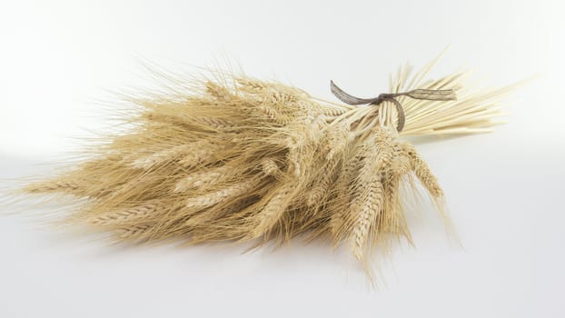 Studio close up shot of bundle of wheat isolated on white background with light shadow