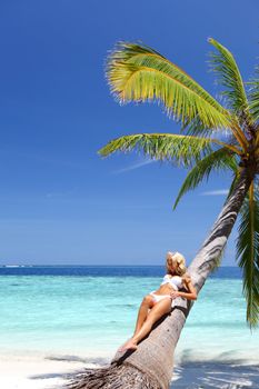 woman under palm sea on backgroud