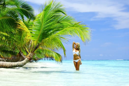 woman under palm sea on backgroud