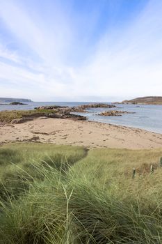 tall green grass on the dunes of a golf course in county Donegal, Ireland