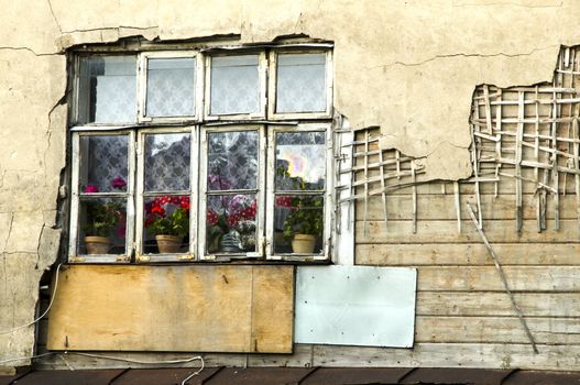 Old crumbling building collapsing wall and windows. Flowers inside on windosill. Poverty.